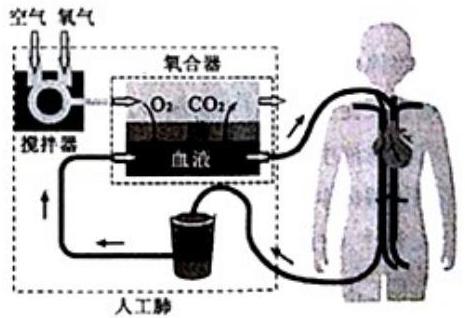 mp_38a7998b5c.jpg