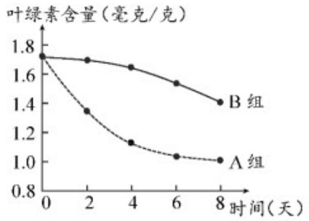 mp_3978e55858.jpg