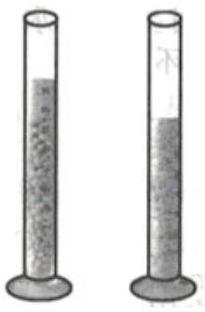 mp_3a0b858f41.jpg
