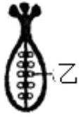 mp_3c1e3455eb.jpg