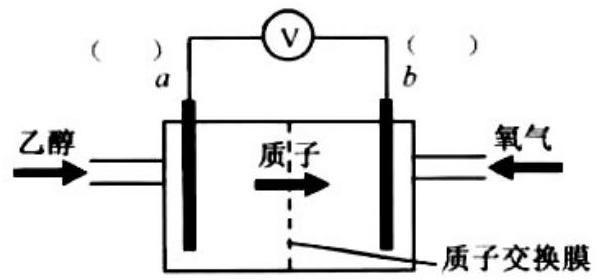 mp_3c7ff28dcb.jpg