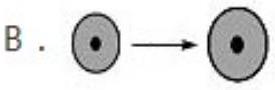 mp_3cd547459b.jpg