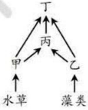 mp_3ce10c4303.jpg