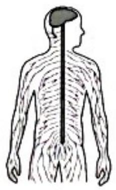 mp_3d7f25accd.jpg