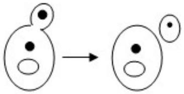 mp_3e647f933a.jpg