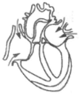 mp_3f1864b215.jpg
