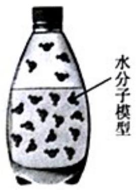 mp_3f1d31a8c0.jpg