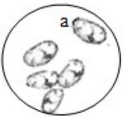 mp_3f214616dd.jpg