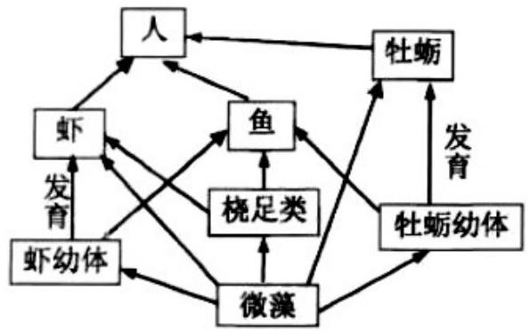 mp_3fb079aa83.jpg