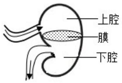 mp_4063783b07.jpg