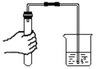 mp_41956e0765.jpg