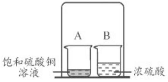 mp_419a3639a0.jpg