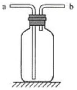 mp_4256625c33.jpg