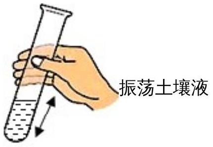 mp_42d3836161.jpg