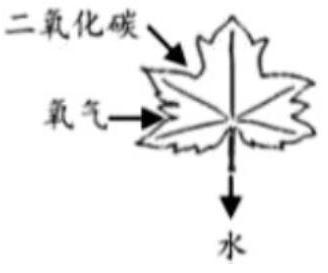 mp_43598dc612.jpg