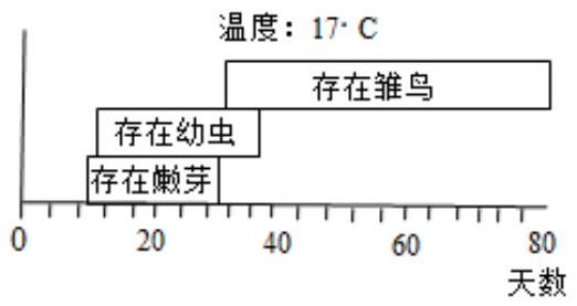mp_43692b33ce.jpg