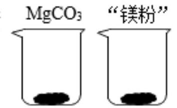 mp_442d6cc42c.jpg