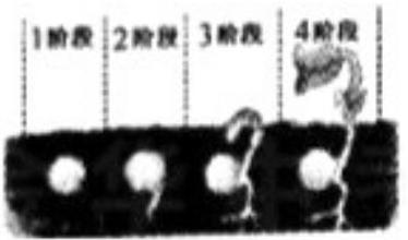 mp_44b691d3e0.jpg
