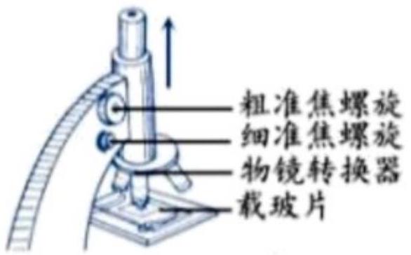 mp_4515d8170d.jpg