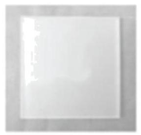mp_452d64d79c.jpg