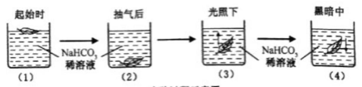 mp_453240300a.jpg