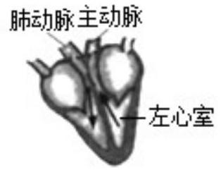 mp_453611aa1f.jpg