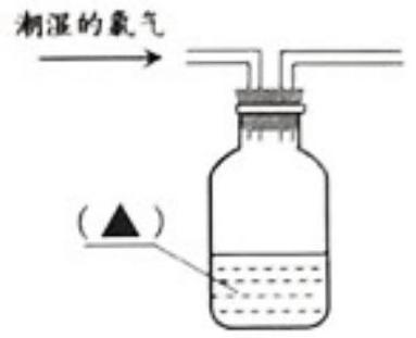 mp_466603e618.jpg