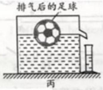 mp_46766753de.jpg