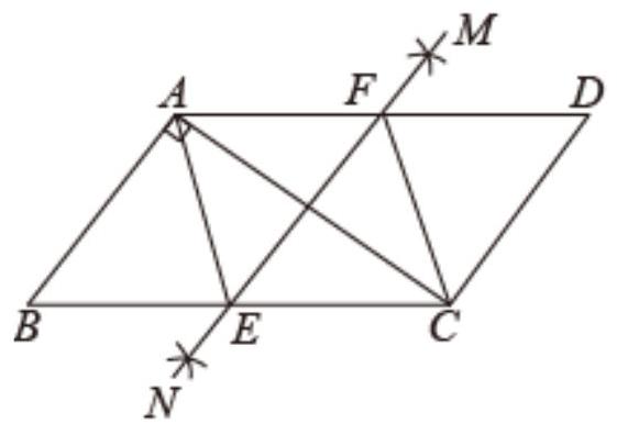mp_4835095356.jpg