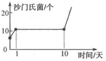 mp_484e591289.jpg