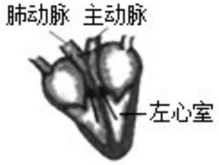 mp_48e68f8450.jpg