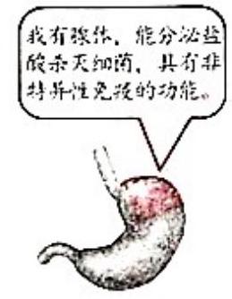 mp_49a84cb179.jpg