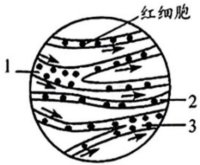 mp_49e6fbfd5a.jpg