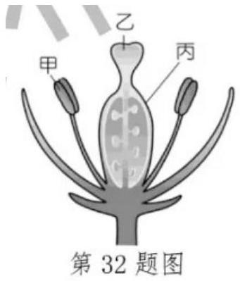 mp_4a02d7c0d8.jpg