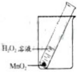 mp_4a5387e098.jpg