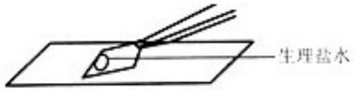 mp_4b22a6ed42.jpg