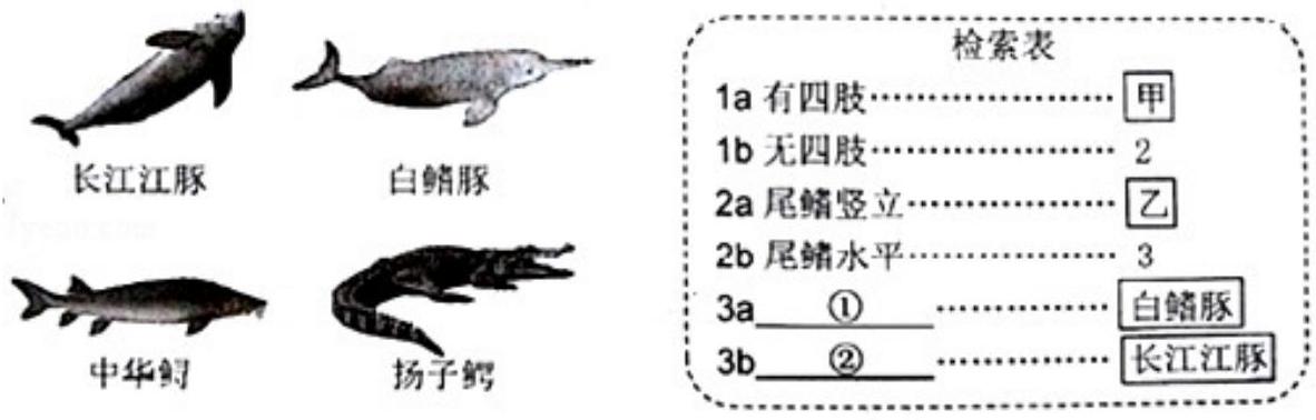 mp_4b413b8128.jpg