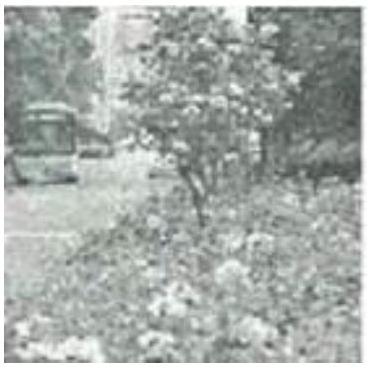 mp_4bb09719aa.jpg