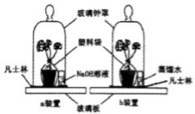 mp_4c3860034d.jpg