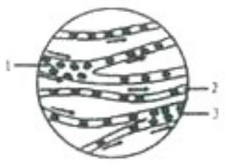 mp_4c778aa7be.jpg