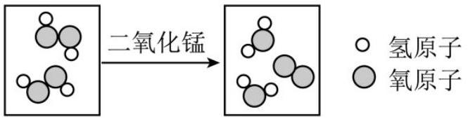mp_4c8d1015b5.jpg