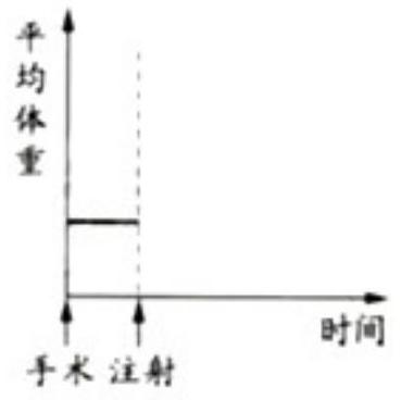 mp_4cf83c427d.jpg
