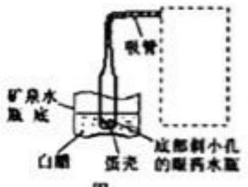 mp_4d55a03612.jpg
