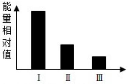 mp_50010aa917.jpg