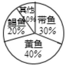 mp_503c91caf4.jpg