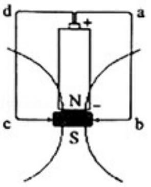 mp_523d479f27.jpg