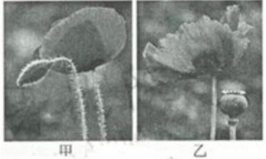 mp_53345644fd.jpg