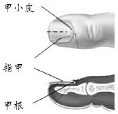 mp_5421f82701.jpg