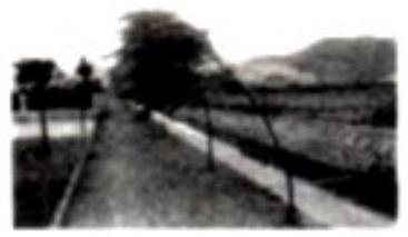 mp_543d463d48.jpg