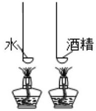 mp_548b1184ae.jpg